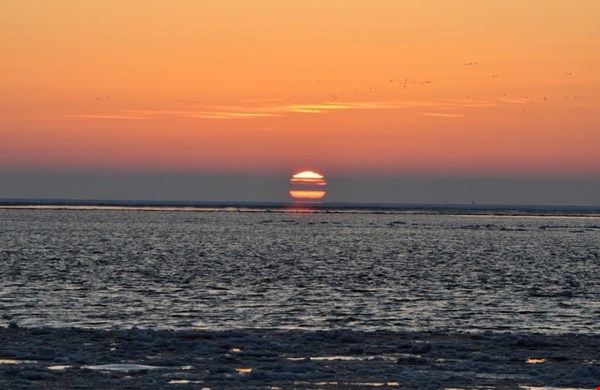 Overnachten in een boutique hotel op de Wadden: waarom Vlieland zo goed past bij een feelgood weekend